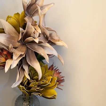 Maison Tillot * Dijon