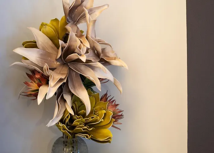 Maison Tillot * Dijon