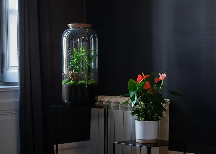 Maison Tillot ディジョン